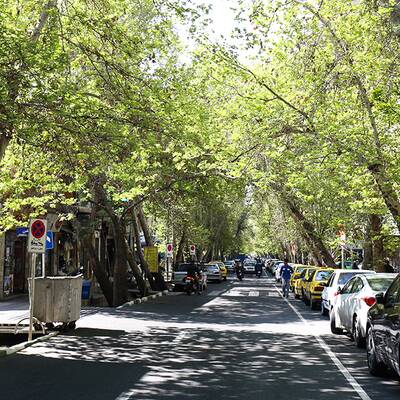 پیاده گردی در تهران دهه 40